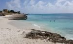 Boca Catalina Cove - Aruba