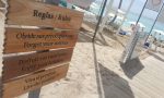Beach | Praia - Catalonia Royal La Romana