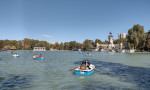 Lagoa | El Retiro Park